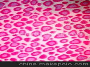 毛巾針紡織品供應(yīng)商、價(jià)格與批發(fā)市場(chǎng)全攻略